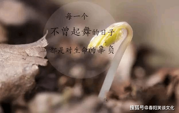 {六合彩}(有深度有涵养的句子圆满)